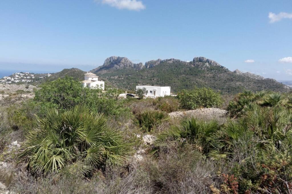 El Sol Blanco Villa Rafol de Almunia Bagian luar foto
