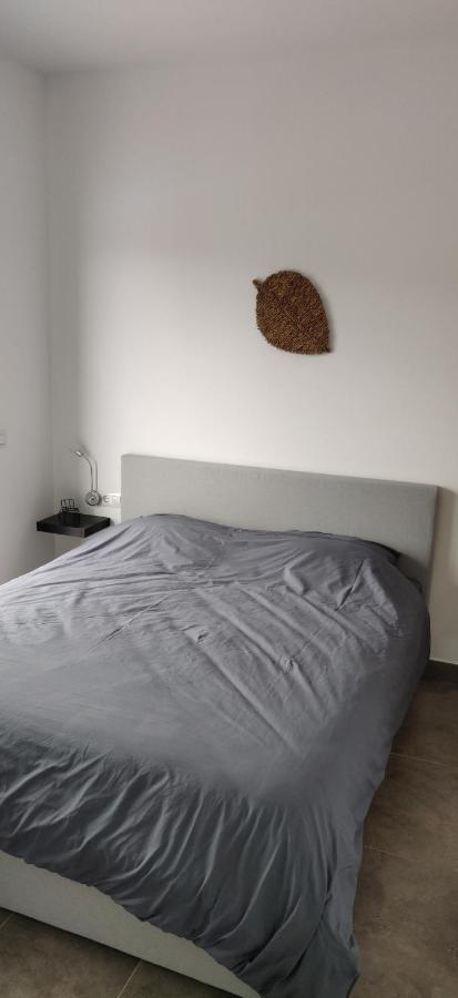 El Sol Blanco Villa Rafol de Almunia Bagian luar foto